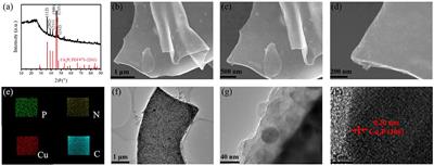 Biomass-Derived P/N-Co-Doped Carbon Nanosheets Encapsulate Cu3P Nanoparticles as High-Performance Anode Materials for Sodium–Ion Batteries